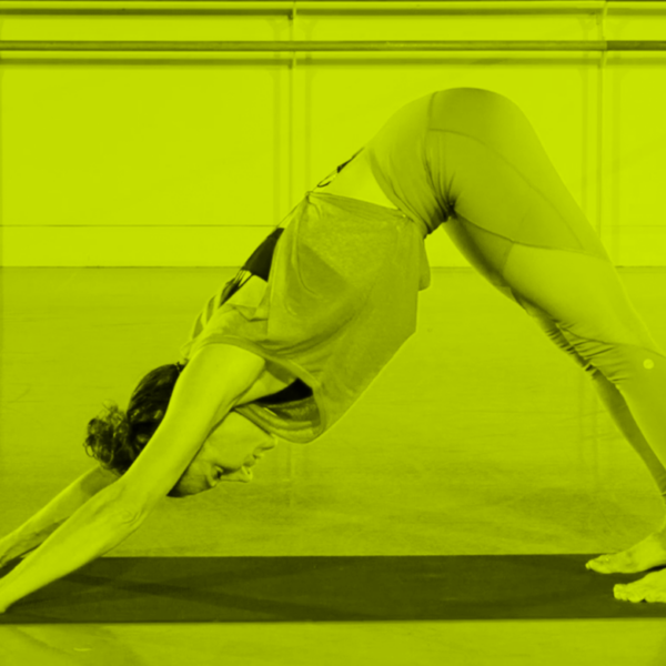 Female teacher doing a perfect downward facing dog's yoga pose.